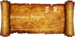 Borhegyi Mikolt névjegykártya
